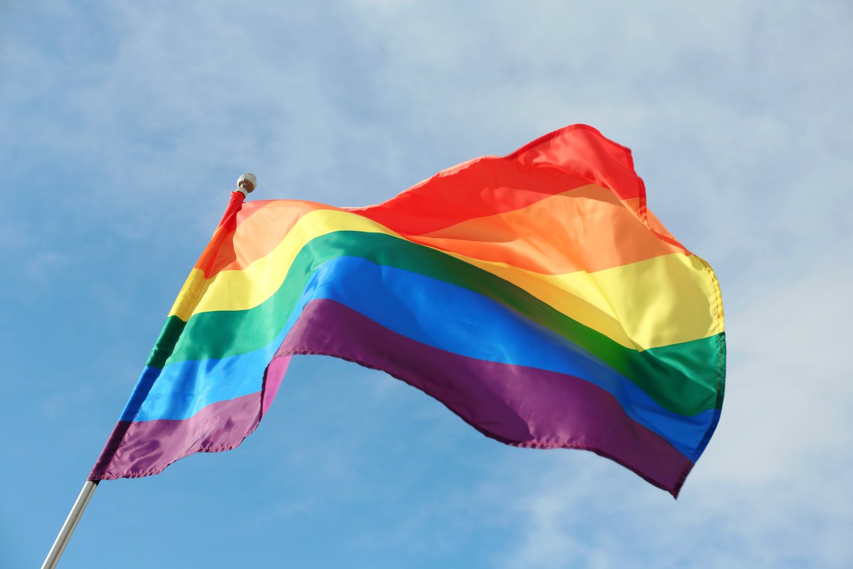 WolvesHomes's tweet photo. For #LGBTHistoryMonth our joint staff network with @WolvesCouncil have organised many internal events around topics such as being an ally, stories about coming out, hate crime and much more. We believe, our people perform better when they can be themselves. #RespectingDifferences https://t.co/T0oXyPdzQO