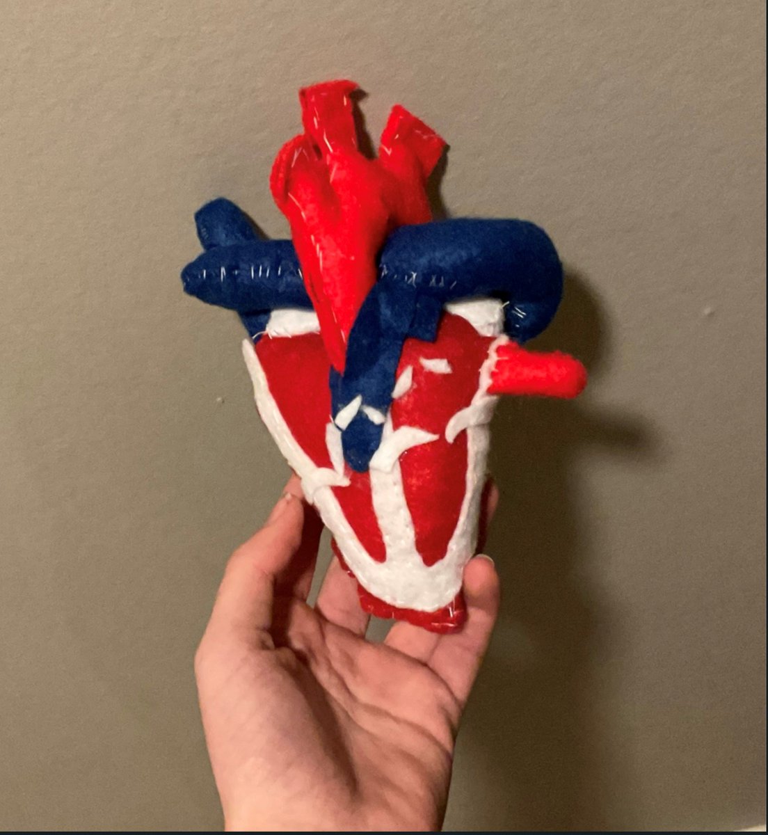 LEHSport's tweet image. The GCSE PE group have been very creative this week reinforcing their learning by making their own heart models. A great effort fromthe whole class! Here is a selection of some of the fabulous efforts #heartstructure #GSCEPE #creativity