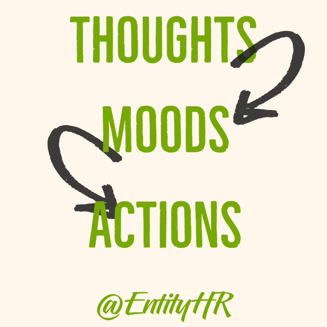 Entity_HR's tweet image. 