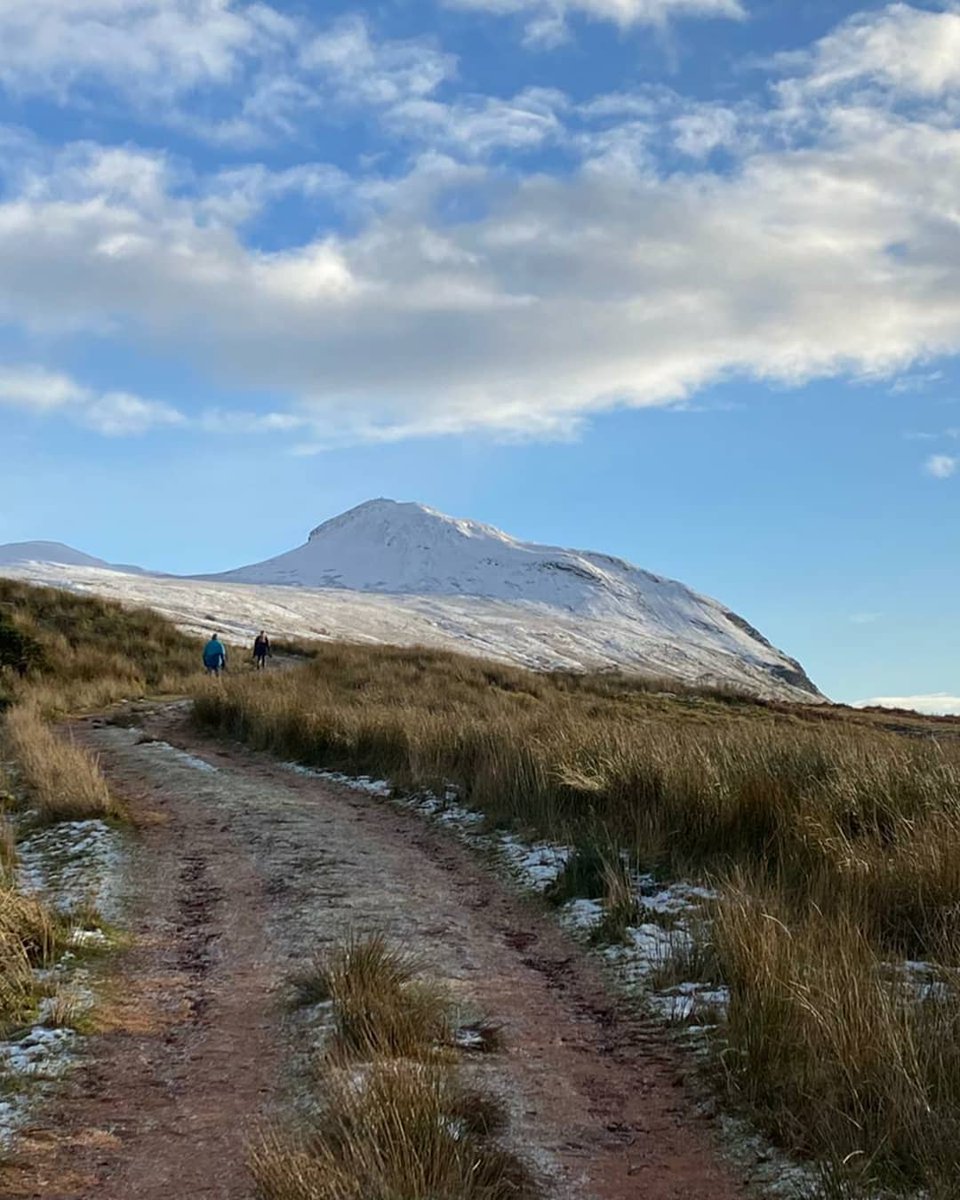 RedConsultUK's tweet image. We have been busy running / walking in all weather, throughout January for #DoddieAID.

With the challenge almost over I wonder which of the 5 teams will have logged the most miles &amp;amp; raised the most money, to become the champions!
C'mon #TeamGlasgow

#MND #DoddieWeir