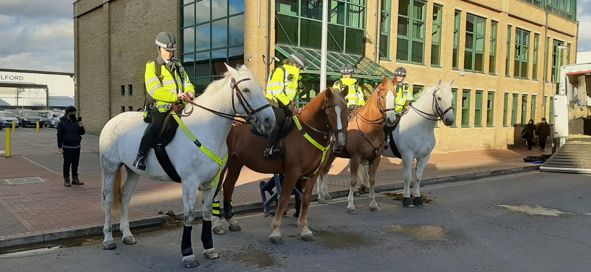 SuptMarkLong's tweet photo. Police Horses out in the High Road, Ilford today #EABCU https://t.co/JIG9TQtesf