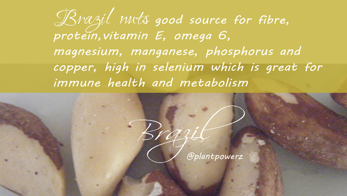 Brazil nuts: good source for fibre, protein, vitamin E, omega 6, magnesium, manganese, phosphorus, copper, high in selenium which is great for immune health and metabolism #plantpowerz #prostate #health #brazilnuts #veganlife   #selenium #plantbased #ecofriendlydiet #veganuary