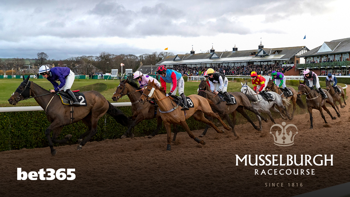 Ahead of the  @bet365 Scottish Cheltenham Trials weekend, we’re looking back at some horses that have gone on to achieve success after appearing in previous meetings.  #MusselburghRaces  #ScottishCheltenhamTrials  #bet365