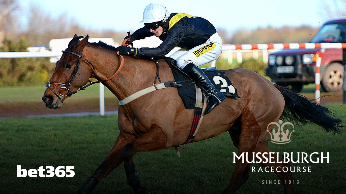 Victorious in the Albert Bartlett Trial back in 2014,  #Seeyouatmidnight has gone on to run in the World Hurdle, RSA Chase and Grand National.And at the grand old age of 13, he was last seen winning the Veterans' Chase Series Final at Sandown.