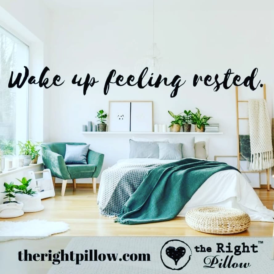 The Right Pillow tweet media