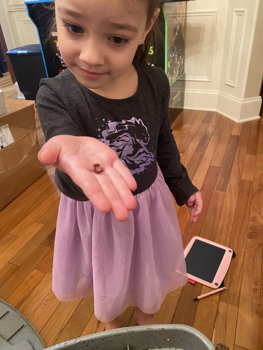 karitgillespie's tweet photo. Getting brave and holding a worm today #compostworms #briningtheclasspetshome #brave #eggmcmuffin #futuremagnetstudent https://t.co/t1B6pJzONu