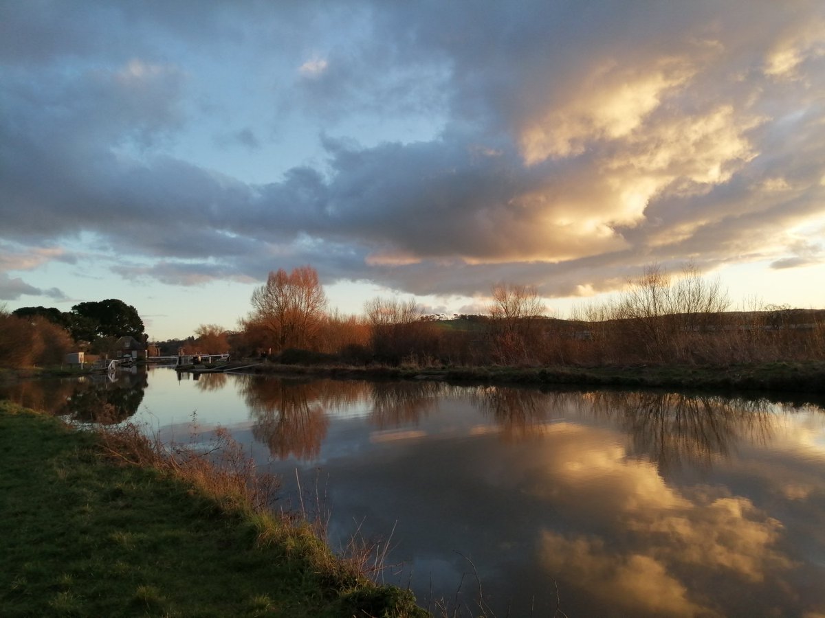 PascaleExeter's tweet photo. An enchanted evening for a #MarkingWalk https://t.co/1oPQ9WFyYG