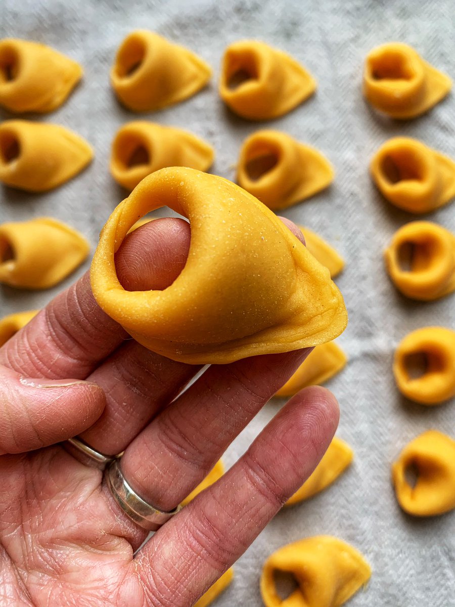 pasta_pici's tweet photo. Tortelloni for tea? 🙋🏻‍♀️

💯💯💯💯💯💯💯

Egg yolk dough with a creamed mushroom &amp; garlic filling 🤎 https://t.co/EkodpR0bGX