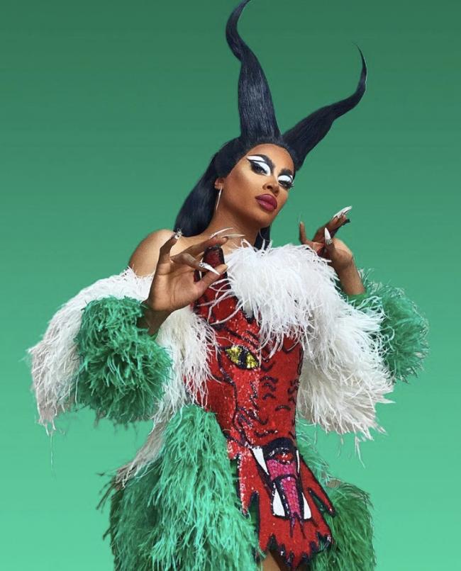 Ooh slay, Stephanorrhina guttata 