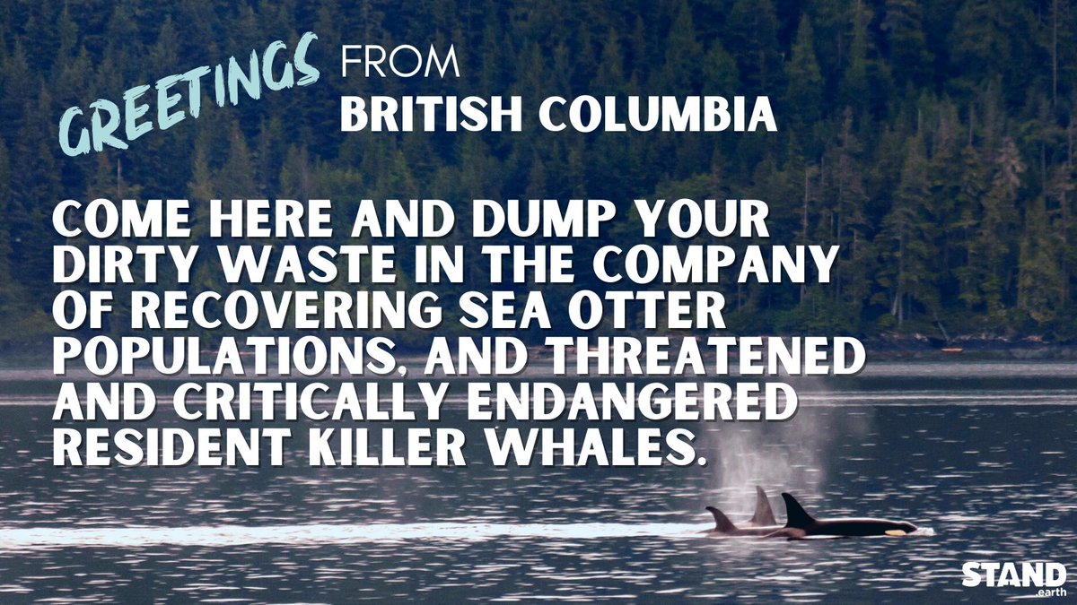 standearth's tweet photo. Our new report with @WCELaw exposes Canada’s weak regulations for what they really are: a big fat advertisement for cruise companies looking for a convenient place to dump their toxic waste. https://t.co/sTaJ9rmDIm
#StopTheDumping
@OmarAlghabra @BernJordanMP @JonathanWNV https://t.co/bX9a7t7UCj