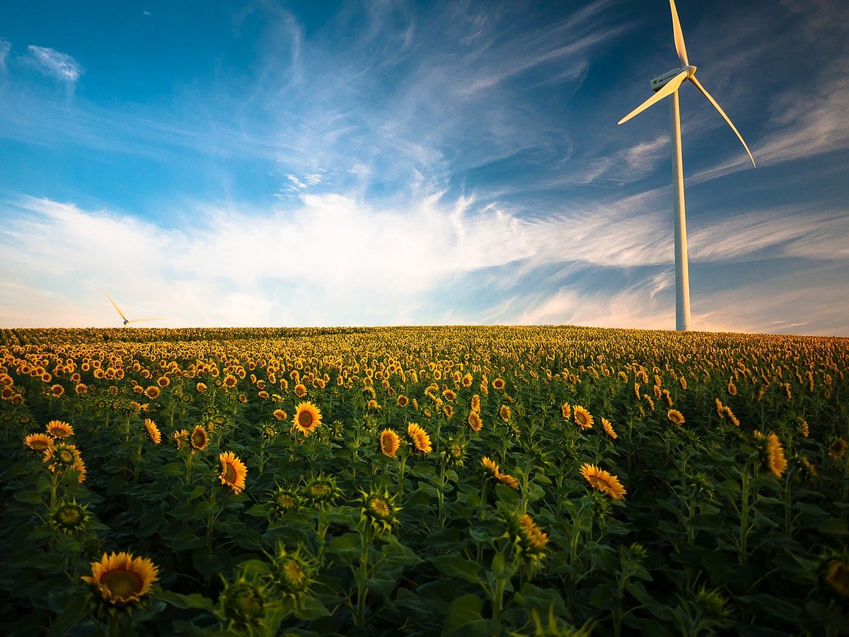 USIAJobs's tweet photo. NOW HIRING | GS-15 Division Chief position for the Division of Economic Development in the Office of Indian Energy and Economic Development. The announcement closes on 2-19-21. This is a remote position. 
APPLY NOW: https://t.co/8mnF0Yx8jC https://t.co/XVhiOTqURs