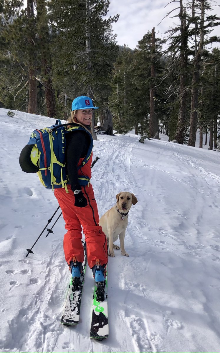 AvalancheSafety's tweet photo. Dog ski party! The calm before the storm...Before the last big storm hit the Sierra, skiing was on the scratchy side and avalanche conditions were dormant. Perfect time to get the dogs out for a little hot lap! @leltone #backcountryaccess #sendandreturn https://t.co/tdz34RRZ4B