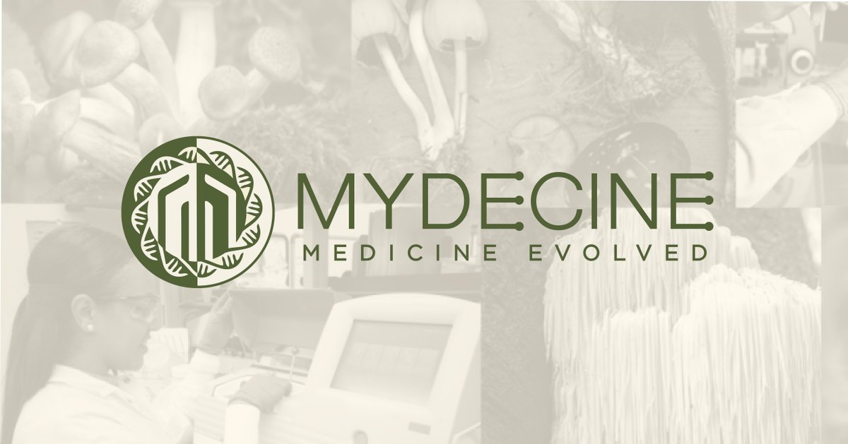 Mydecine Innovations Group tweet media
