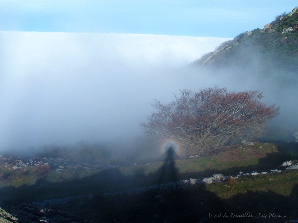 CielRoussillon's tweet photo. Spectre de #Brocken depuis les #Albères sur la mer de nuages d'hier - #LecielduRoussillon #PyrénéesOrientales
@Meteo_Pyrenees @MeteoLanguedoc @KeraunosObs @StormchaserUKEU @ThePhotoHour @Meteovilles @meteofrance @ExtremeMeteo https://t.co/SpK9YAGej4