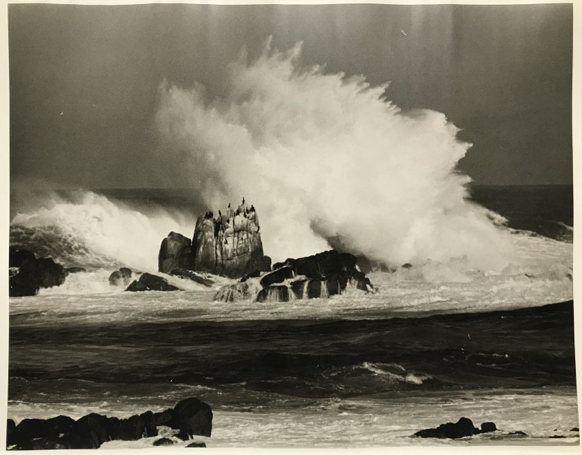 PGMuseum's tweet photo. This #FlashbackFriday check out a circa 1940 F.J. Enos photo of waves crashing on the rocks off of Point Pinos! #PacificGrove #History #PointPinos https://t.co/qvTYI76LxL