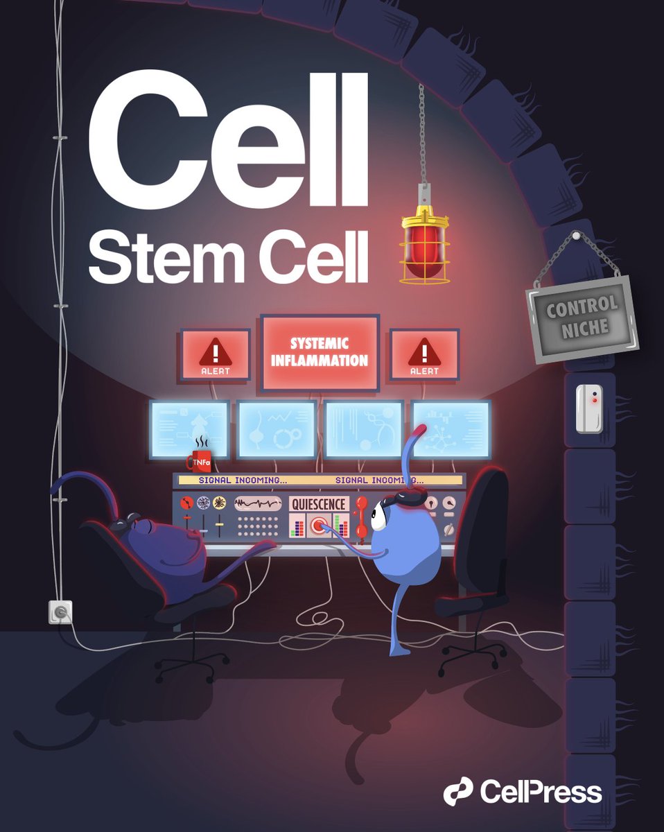 Fariñas Lab (@farinaslab) on Twitter photo Cover reveal day!!
"Neural stem cells on watch for systemic inflammation"
So proud of our proposal for Belenguer et al. 2021. Congratulations to the chosen one <a href="/CellStemCell/">Cell Stem Cell</a> 👏🏻👏🏻
Artwork by our own resident artist 👩🏻🎨 <a href="/_anadomingo_/">Ana Domingo Muelas</a> Cover reveal day!!
"Neural stem cells on watch for systemic inflammation"
So proud of our proposal for Belenguer et al. 2021. Congratulations to the chosen one <a href="/CellStemCell/">Cell Stem Cell</a> 👏🏻👏🏻
Artwork by our own resident artist 👩🏻🎨 <a href="/_anadomingo_/">Ana Domingo Muelas</a>
