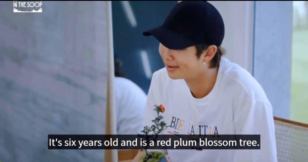 he gets motivation from his bonsai tree)):