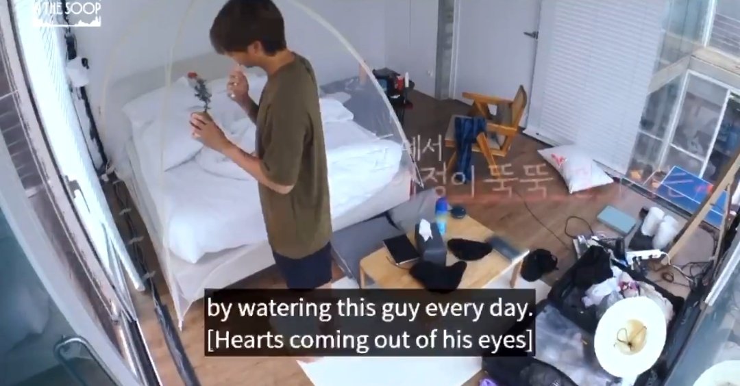 namjoon happiest when he's with his bonsai tree me believes