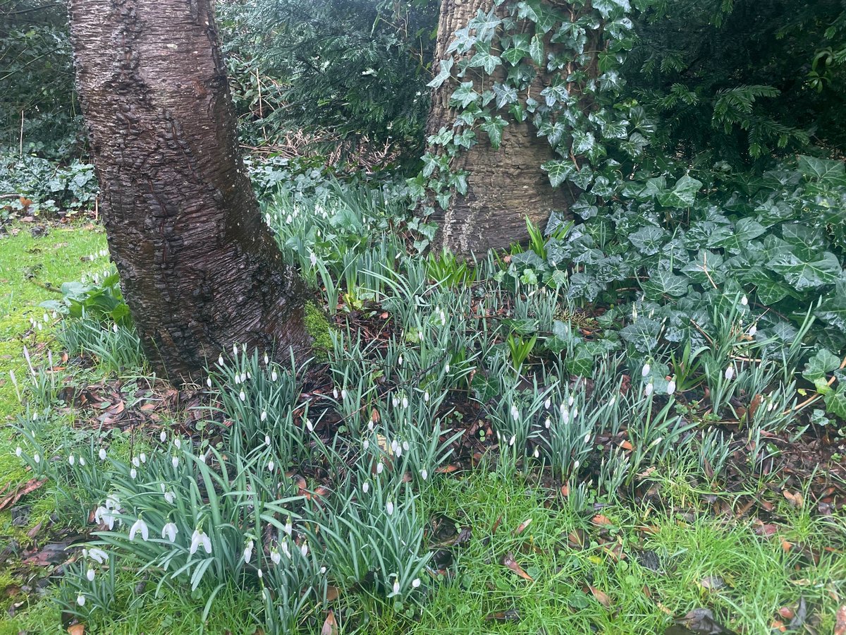 It’s been a week of good news with the Bank of England’s positive economic forecast, the UK surpassing 10 million vaccinations and the longer days making an arrival. Spring is just around the corner.