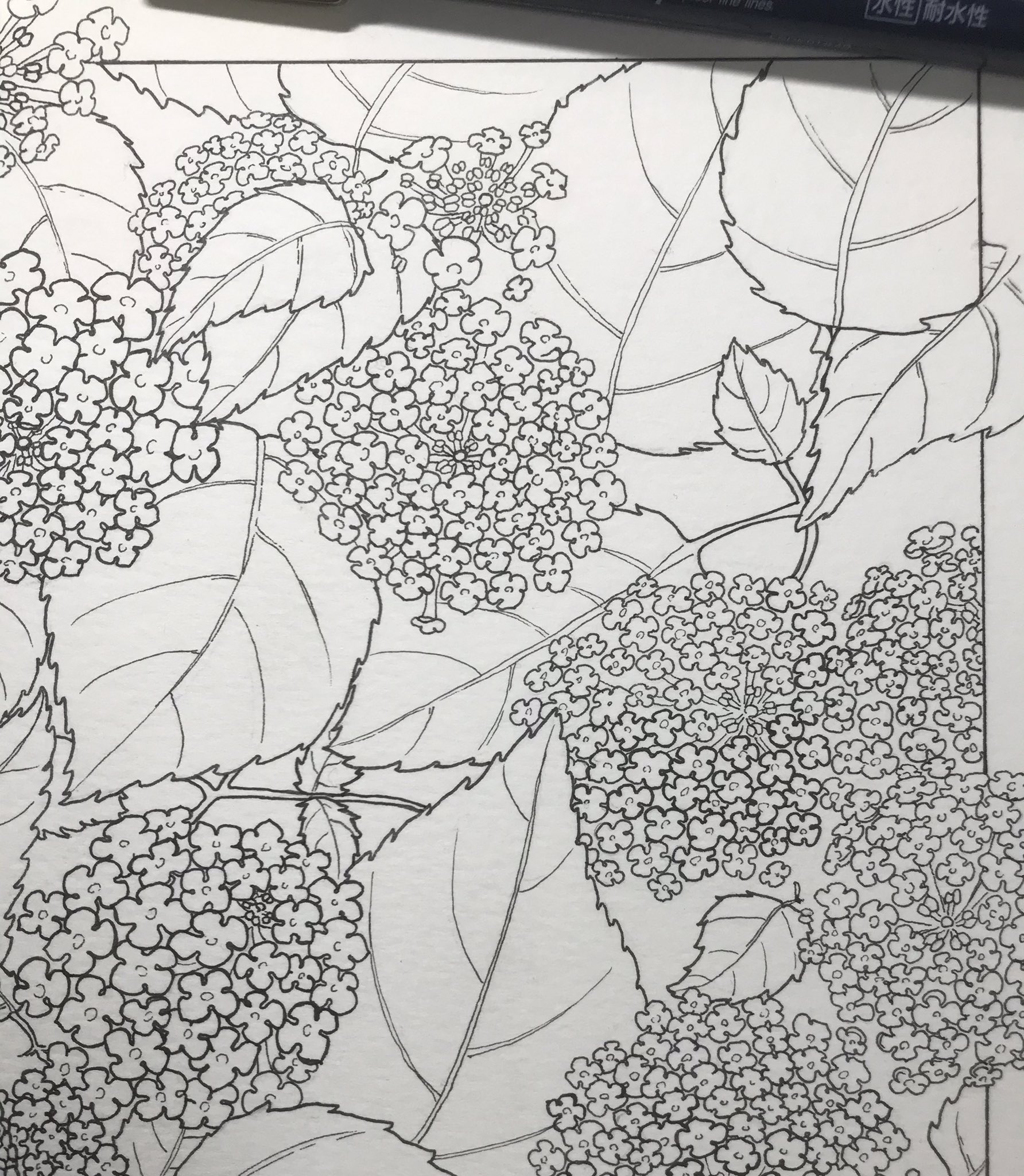 S0u2 Nz そうつ ねず ペン入れの補正 墨入れ バランス調整 終わりません 詳しい人にアドバイス欲しいくらい 絵描きさんと繋がりたい アナログ絵 アナログ画 ペン画 水彩画 予定 T Co 93hxdfxvel Twitter