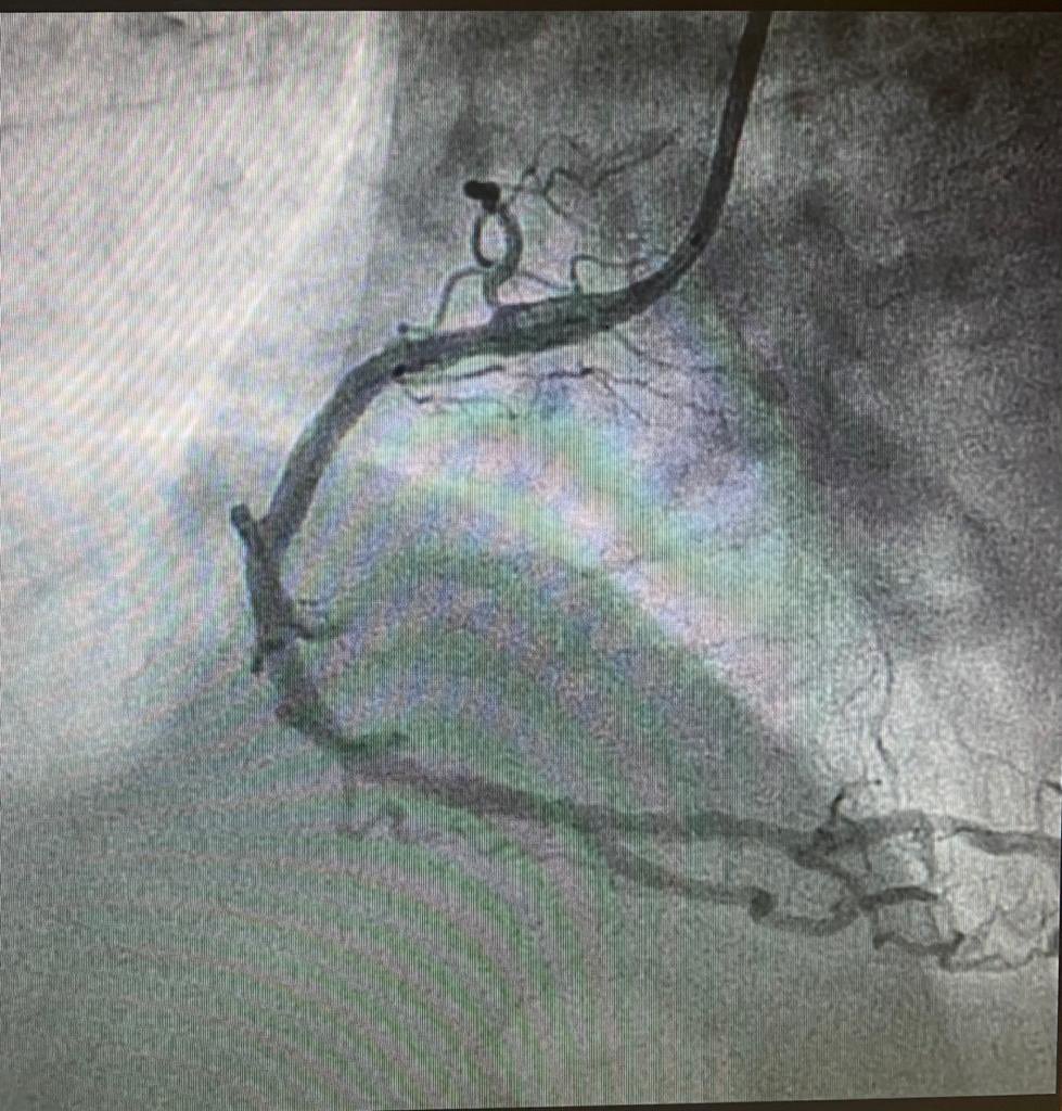 Jose Luis tweet media