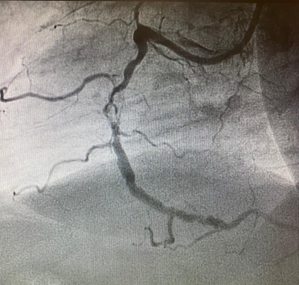 Jose Luis tweet media