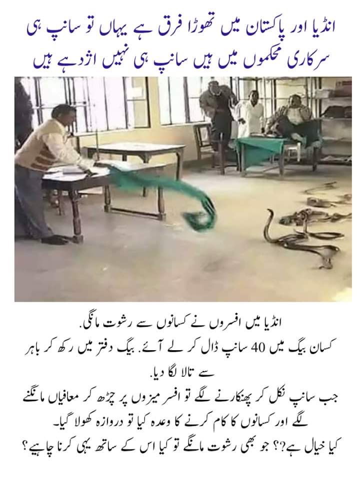 DrAnsaari's tweet photo. Pakistani bureaucrats need snakes https://t.co/fOFf24Z6Gt