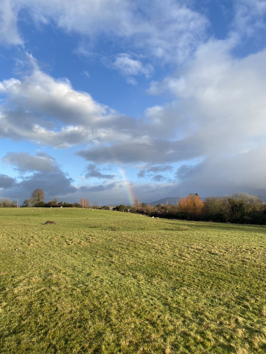 mshanley_m's tweet photo. Day 36 #100daysofwalking #movewithtrisha listened to @DoireannGarrihy podcast #thelaughsofyourlife with @trishastransfo1 even though it was raining ☔️ it brighten my day #laughteristhebestmedicine #greatcraic #boghabàistí🌈 #Tubbrid @AimsirTG4 @WeatherRTE @WAWHour https://t.co/R9Hw6eldNn