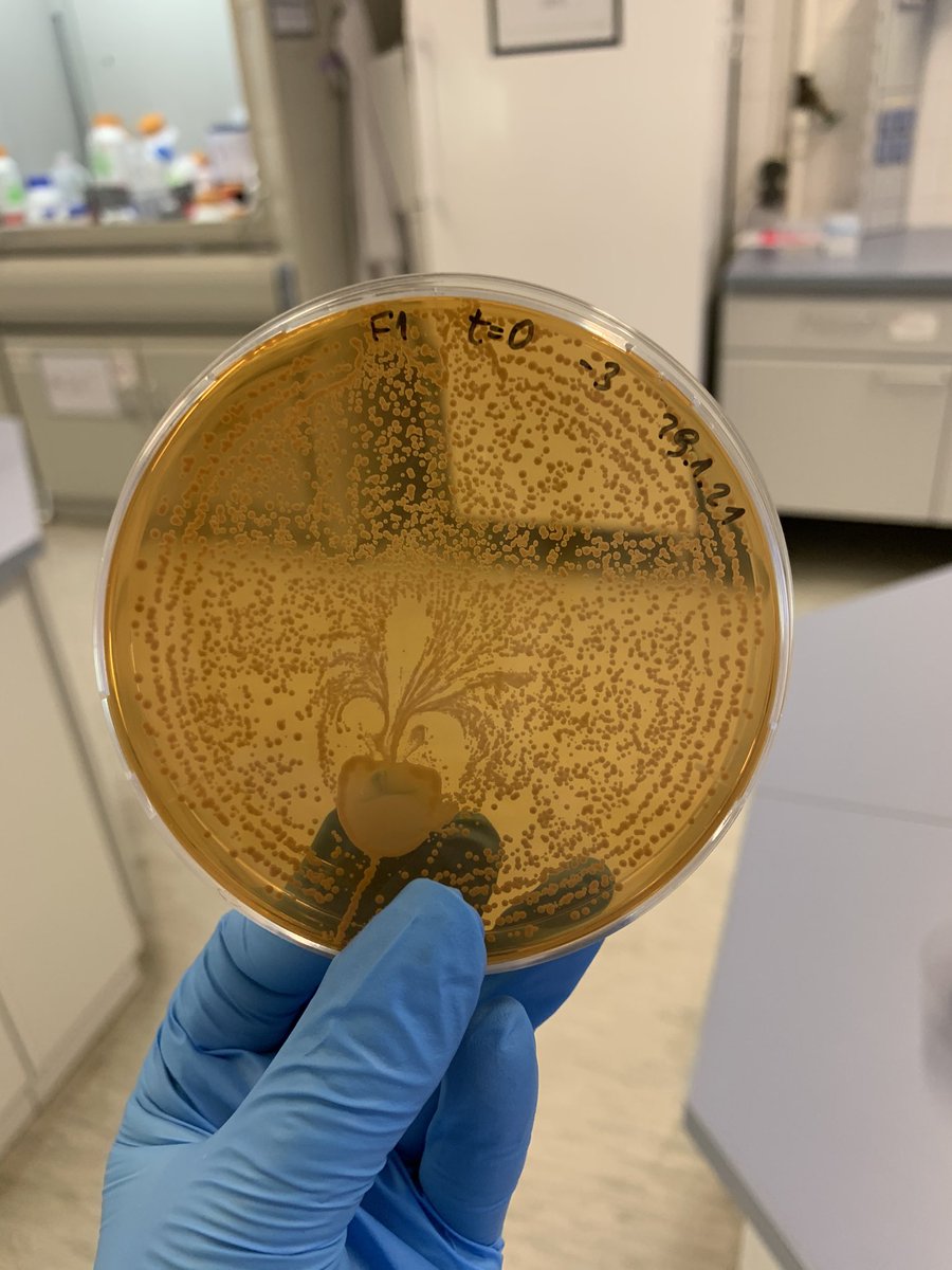 Something went wrong and created BioArt 🧫
