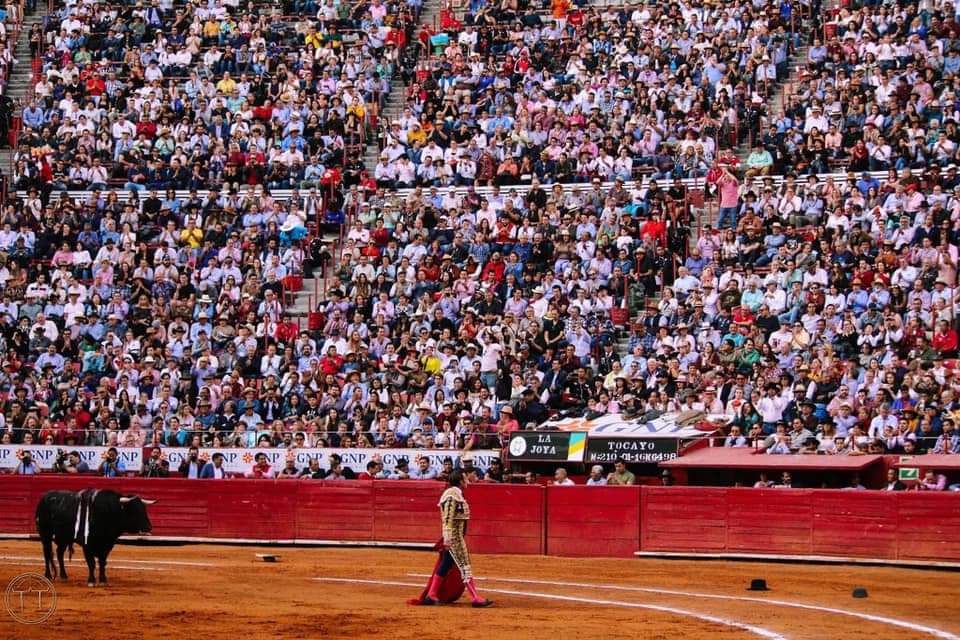 Karla_Paredz's tweet photo. #75Aniversario #PlazaMéxico

Orgullosamente taurina! 😊 https://t.co/H0s5fs6gAk