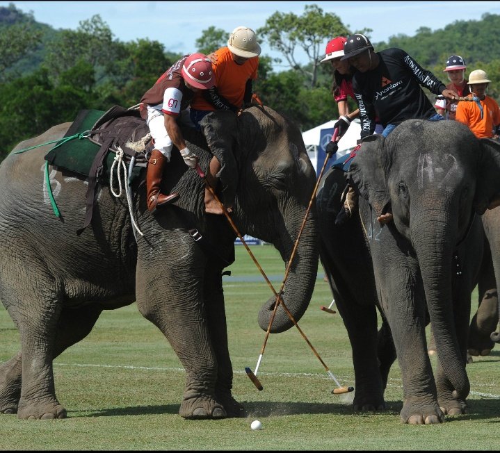 99th for lust and 100 for Moksha.5.PULU (Polo)The kings of Manipur had a royal polo ground within the ramparts of their Kangla Fort.They played Manung Kangjei Bung (Inner Polo Ground)Mapan Kangjei Bung (Outer Polo Ground)Also called as " Game of Kings"