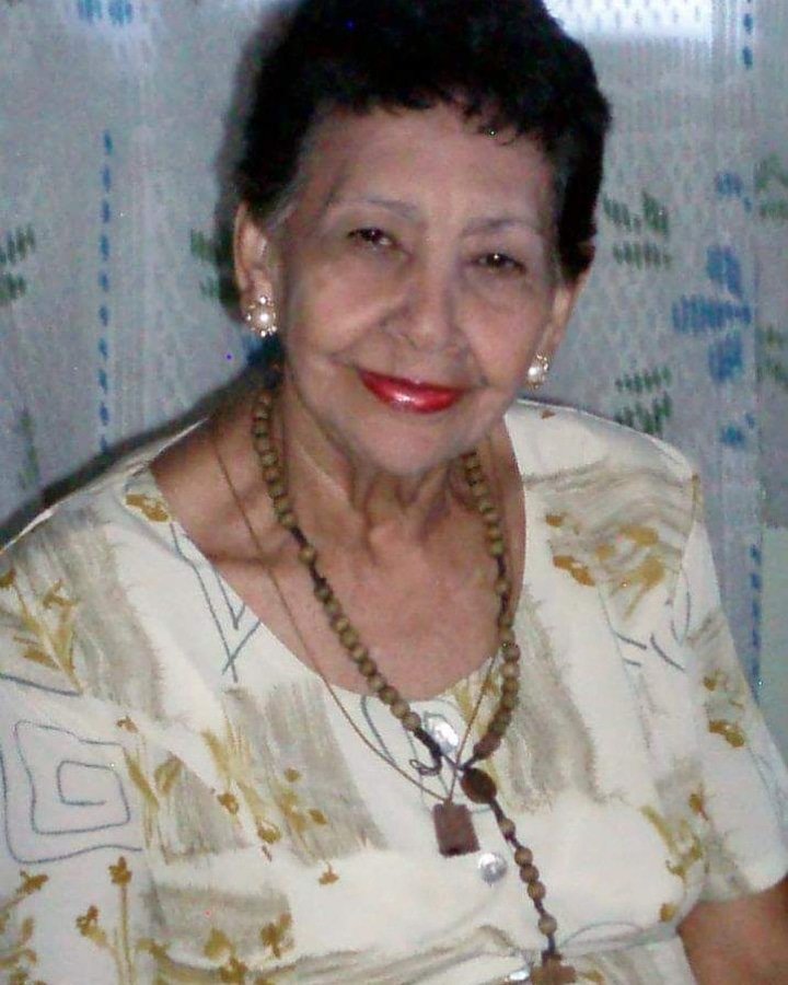 Javier Castro E. tweet media