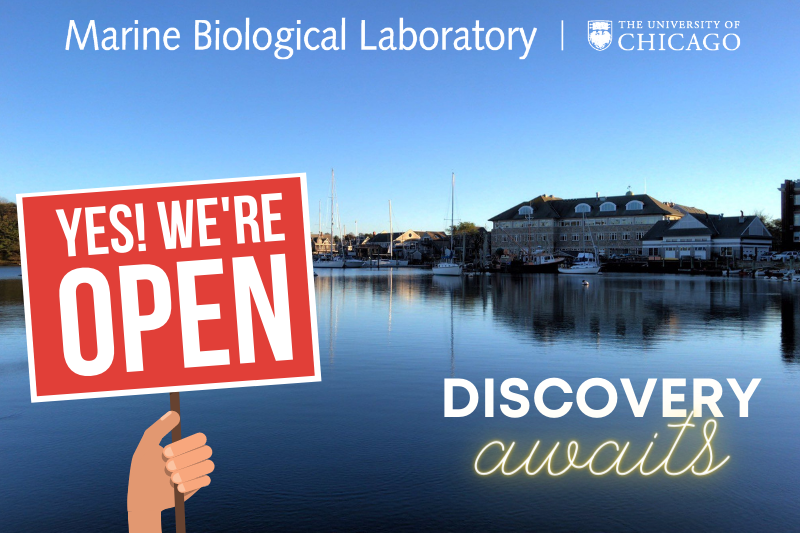Marine Biological Laboratory (MBL) tweet media