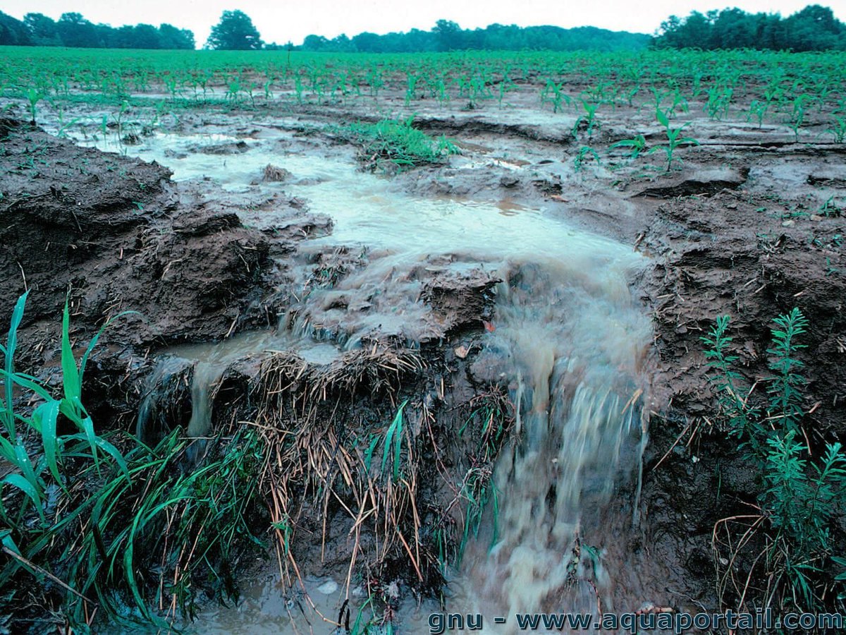 [Agroécologie] Ce terme est employé abusivement, il s'agit d'une science et pas de croyances. Un sol retient effectivement plus d'eau lorsque le sol n'est pas labouré, qu'il est couvert etc. Le problème est plus dans la perte de nutriments que dans les inondations de la Seine.