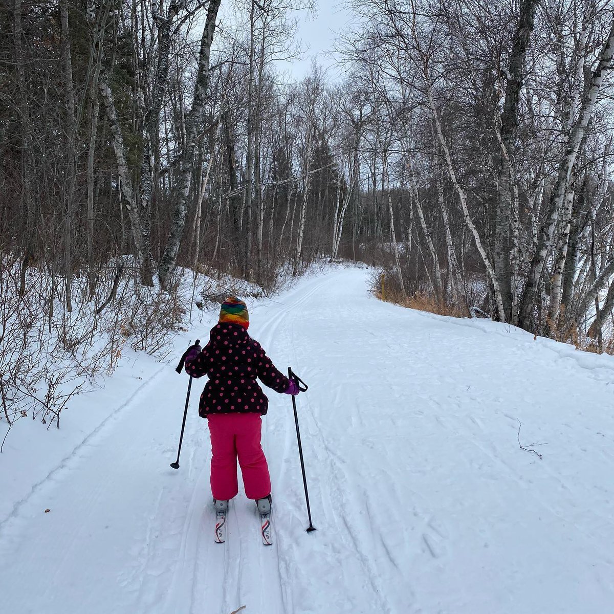 Skiing at Duck Mountain Provincial Park near Kamsack is always a treat. Today <a href="/BlueSkyCBC/">Blue Sky</a> is celebrating #goodnewsfriday and we want to hear about your favourite x-country ski trails in the province. 
Call in between 12-1 1-800-716-2221