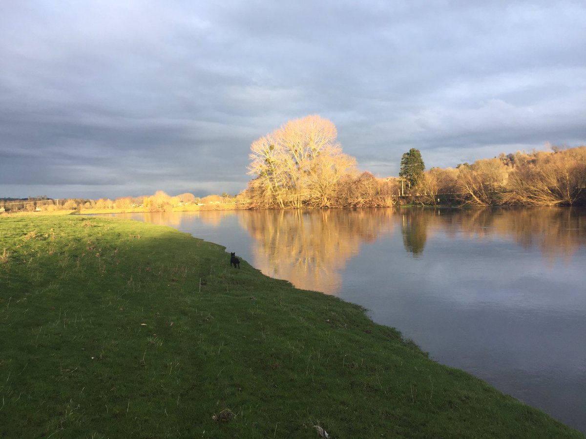 DementiaVoices's tweet photo. Signing off for the weekend. Hope you all wrap up warm and stay safe DEEPers.
Itโs dark now but sneaked in a quick late afternoon walk and it was stunning. Not a patch on some of the photos being shared lately on twitter (mentioning no names) #butimnotcompetitive ๐๐คฃ https://t.co/o9wYj4T8AO