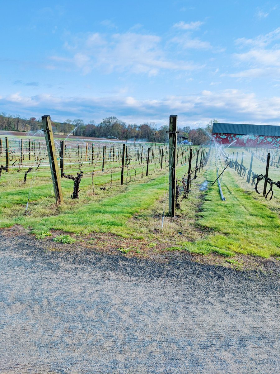 Sit back, relax and wait for Spring 🌸💐🌷
.
.
.
.
#ctgrown #weha #localfarm #ctwinetrail #westhartford #simsbury #farmington #avon #granby #eastgranby #snowday #winterinCT #ctwine #vineyard #freshveggies #freshproduce