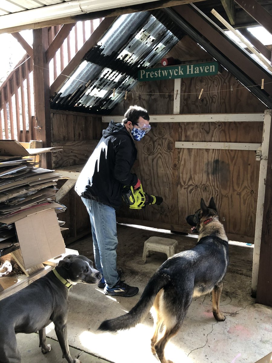 Lionheart_WORKS's tweet photo. It’s never too early for some spring cleaning at the Lionheart Gardens! TJ had two very special helpers today. 🐕 🐕
#lionheartgardens #woodshop #organicgardening #garden #workwithheart #cantonga #autism #springcleaning #workoutdoors #livewithheart #lionheart https://t.co/YaOxIPFoYY