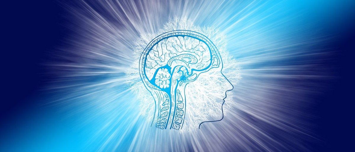 journal_inter's tweet image. EUROPE | La théorie quantique comme explication de la conscience 

bit.ly/3rt6poK

#ConscienceQuantique #ThéorieDeLaRelativité #ThéorieQuantique #Sciences