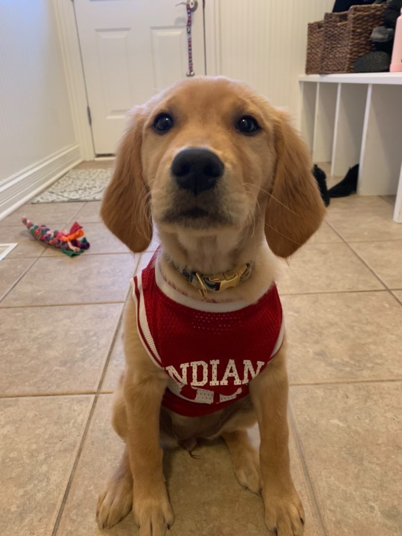 IUBarstool's tweet image. Kicking off this Super Bowl weekend with a #GoodBoyFriday. Who you got? #IUB