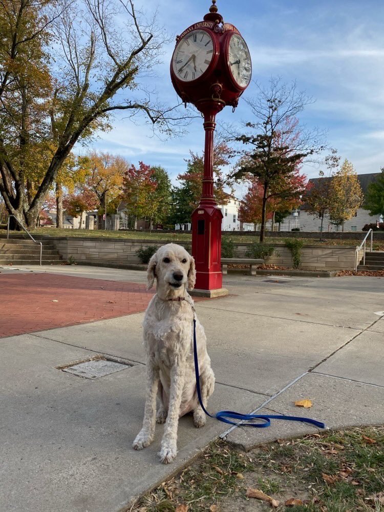 IUBarstool's tweet image. Kicking off this Super Bowl weekend with a #GoodBoyFriday. Who you got? #IUB