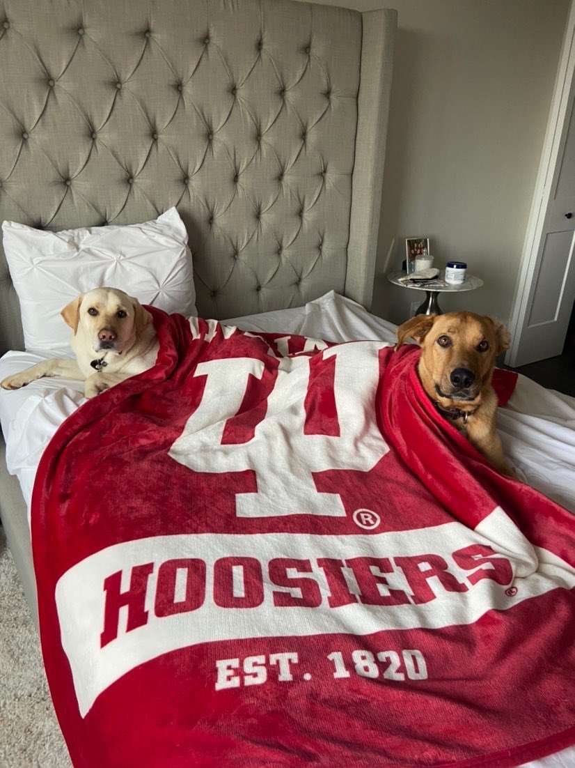 IUBarstool's tweet image. Kicking off this Super Bowl weekend with a #GoodBoyFriday. Who you got? #IUB