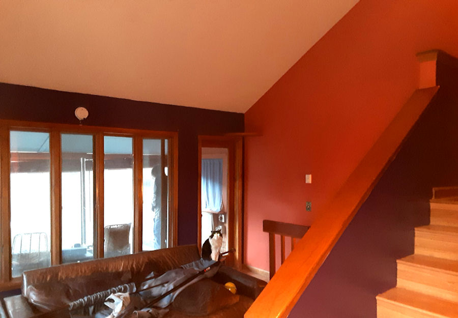 Kittredge Interior
A nice gentleman found us online and hired Excellent Painters to repaint the interior of his home. 
excellentpainters.com/blog/interior-…
#excellentpainters, #Kittredge, #interiorpainting, #housepainting, #sherwinwilliams, #mountains, #cat