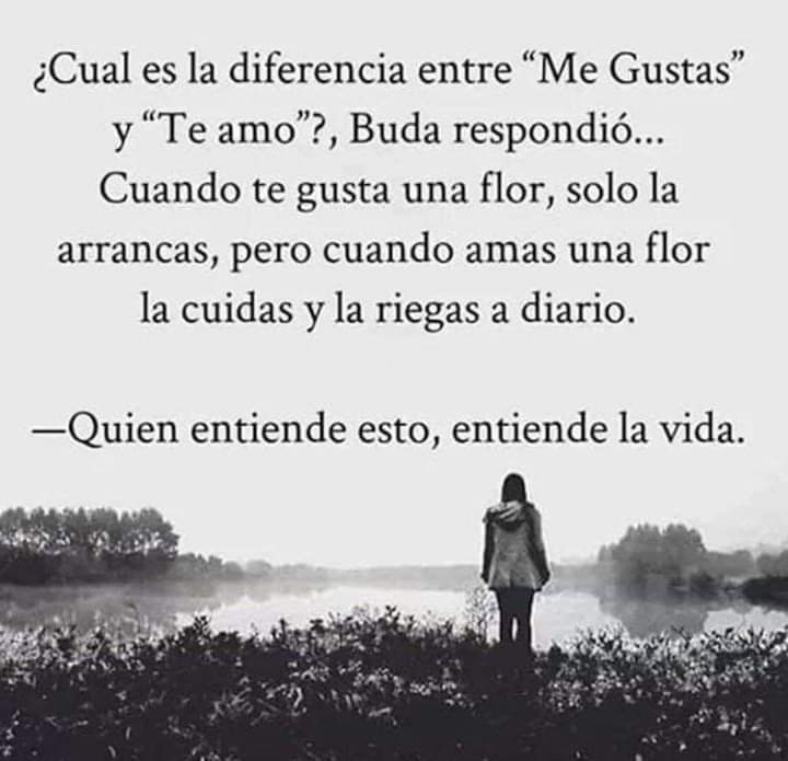 4085OB's tweet image. 