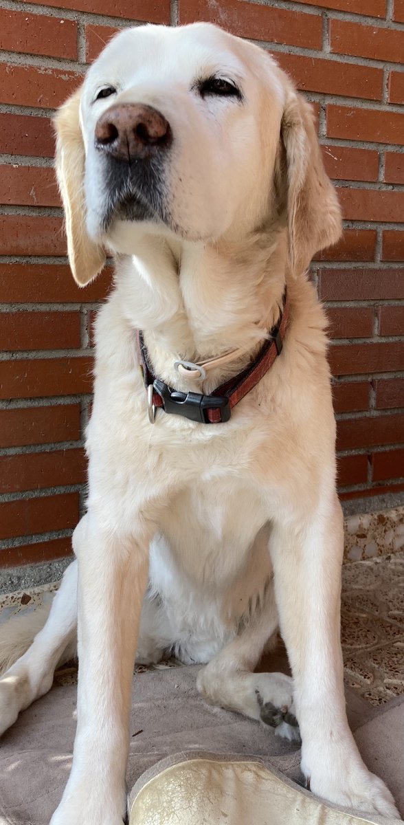 Mamen Alvarez tweet media