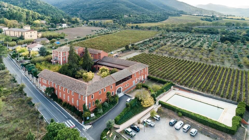 D’aquestes vinyes al paratge natural de Poblet surten els nostres vins Follet i Arnau , tots 2 syrah 100% amb sòl de llicorella situat entre l’Alberg Jaume I i el Monestir de Santa Maria de Poblet
#rendemasdeu #productedeproximitat #km0 #concadebarberà #esplugadefrancoli #syrah