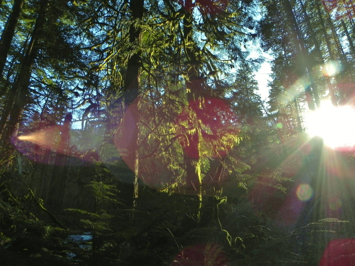 sporeborg's tweet image. I'm not entirely sure what to use this account for, so here's a photo dump from my recent adventures - love me a slow shutter speed &amp;amp; lens flares