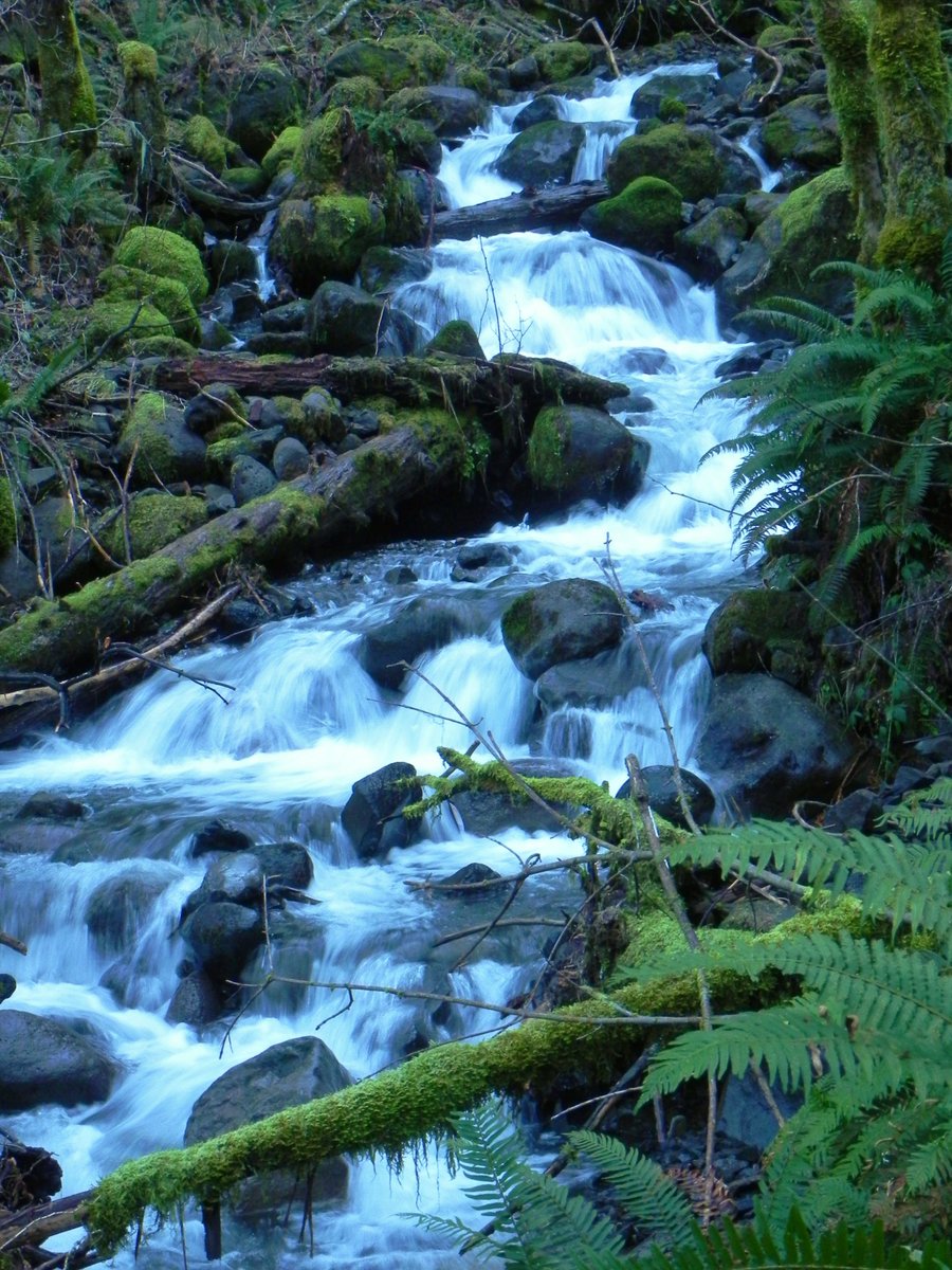 sporeborg's tweet image. I'm not entirely sure what to use this account for, so here's a photo dump from my recent adventures - love me a slow shutter speed &amp;amp; lens flares