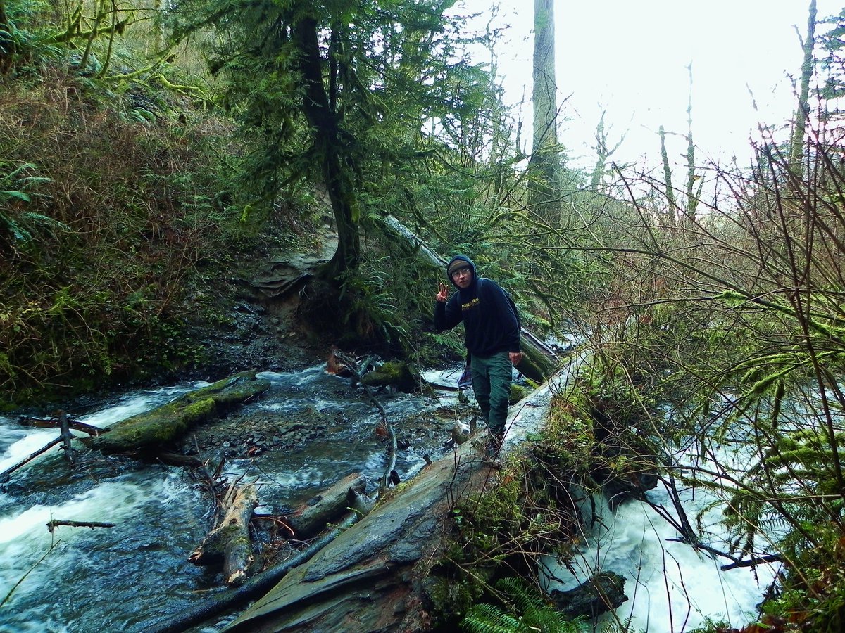 sporeborg's tweet image. I'm not entirely sure what to use this account for, so here's a photo dump from my recent adventures - love me a slow shutter speed &amp;amp; lens flares