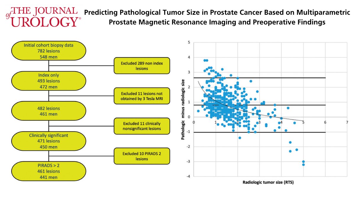 Predicting Pathological Tumor Size in Prostate Cancer Based on Multiparametric Prostate Magnetic Resonance Imaging and Preoperative Findings bit.ly/3qDlUty